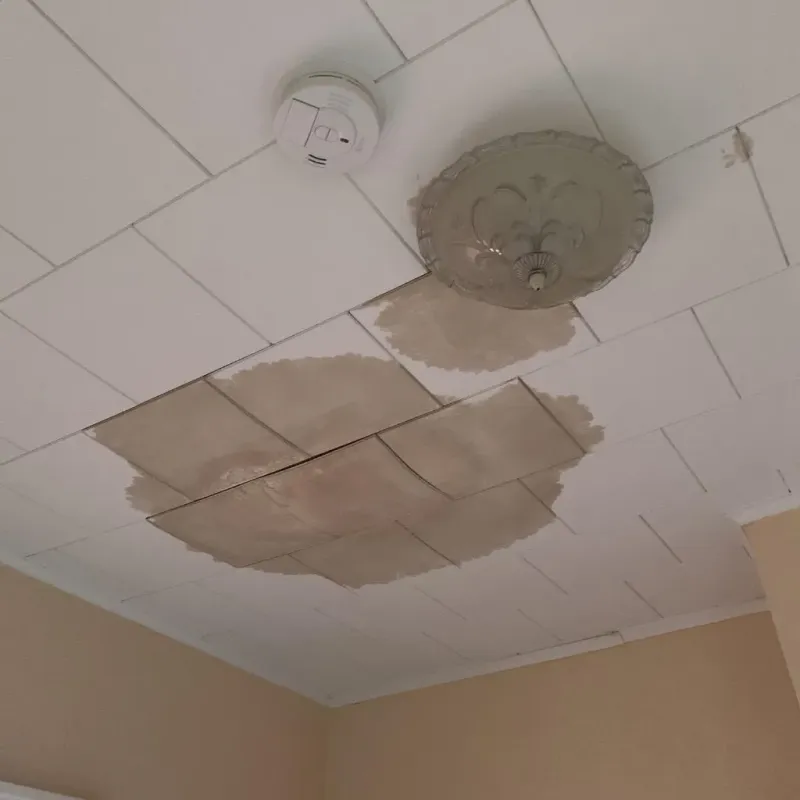 Ceiling Water Damage Repair in Union County, FL